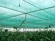 Rete uv dell'ombra di agricoltura di Sun dell'HDPE anti affinchè serra proteggano le piante