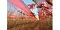 Rete rossa dell'ombra di agricoltura di Raschel dell'HDPE dell'azienda agricola speciale per le aziende agricole di agricoltura