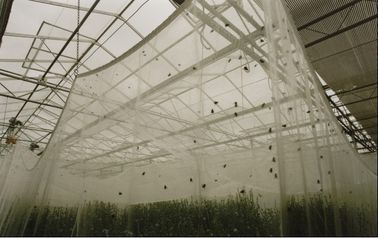 Anti reticolato dell'insetto di agricoltura di plastica del giardino, anti rete dell'insetto delle piante