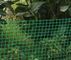 FenceNetting verde/prova animale del reticolato, anti maglia quadrata uv dell'HDPE