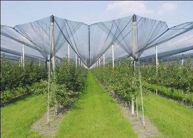 Anti reti della grandine dell'HDPE